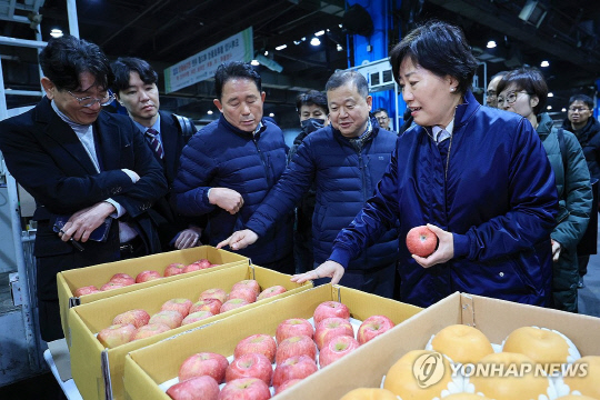 송미령 농림축산식품부 장관이 12일 오전 서울 송파구 가락시장 과일 경매장을 방문해 사과를 살펴보고 있다. 연합뉴스